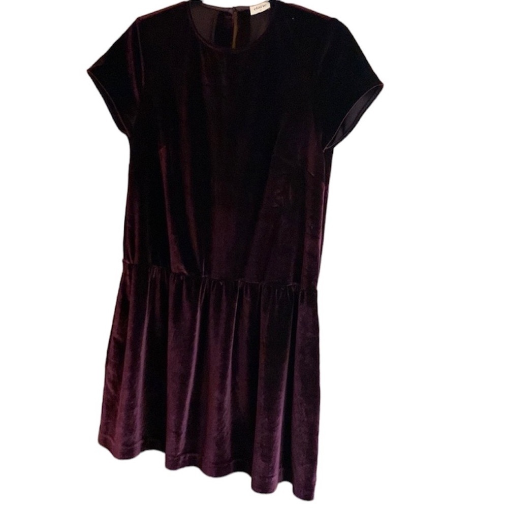 Elorie Burgundy Velvety Velour Drop Waist Dress with Pockets